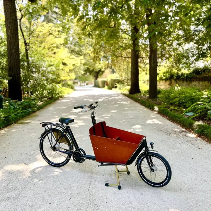 Biporteur électrifié par Mood, photographié dans Bordeaux