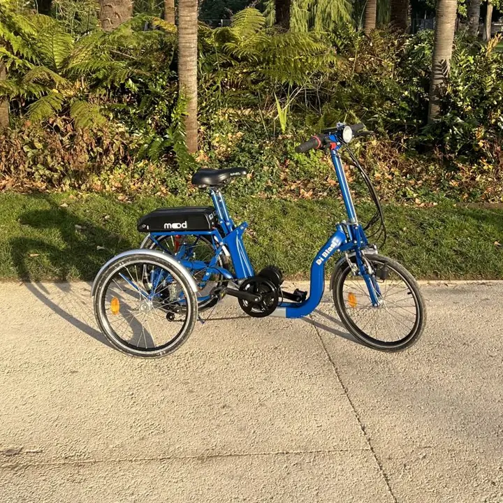Tricycle adulte électrifié par Mood, photographié dans Bordeaux
