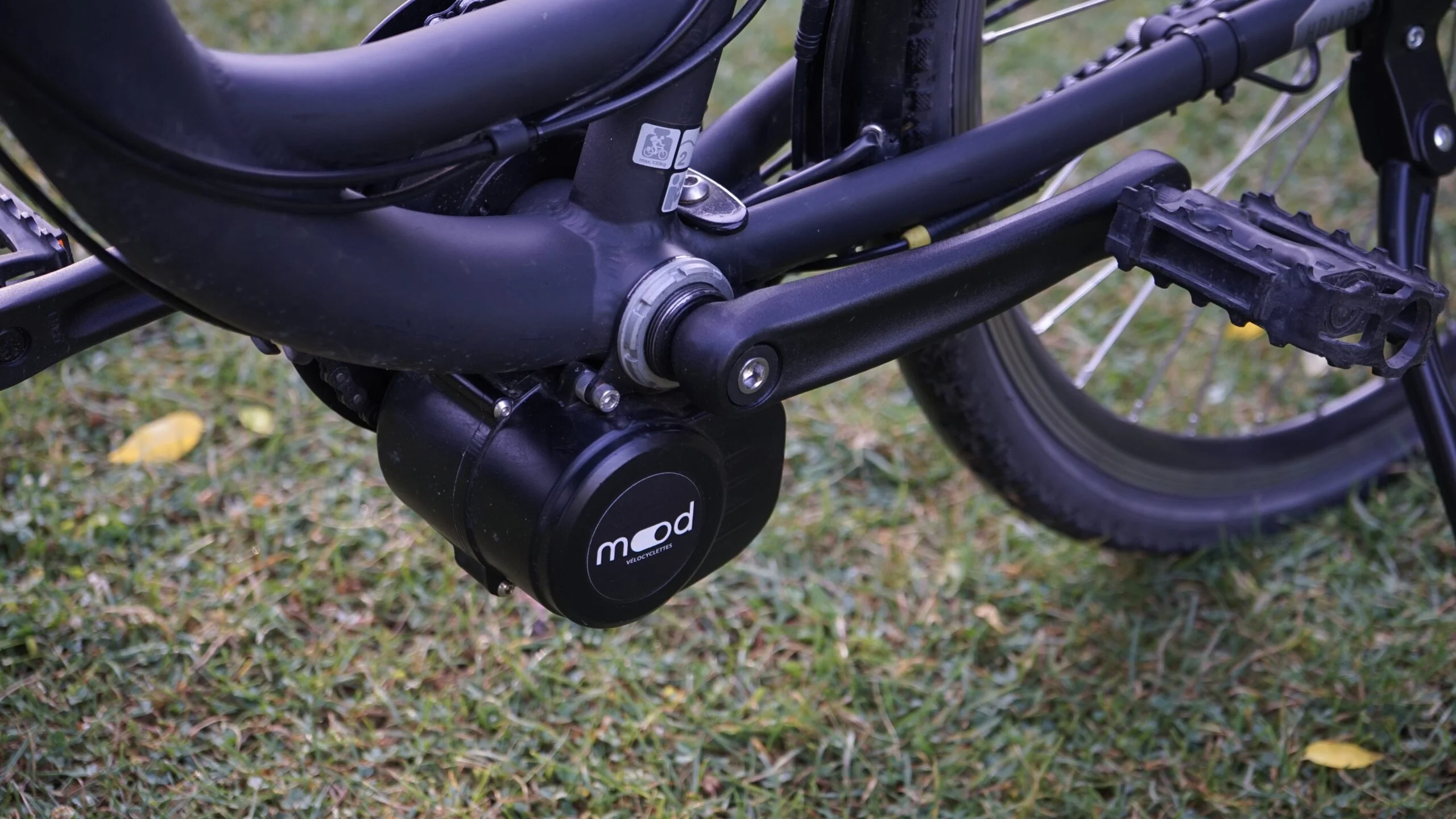 Yuba Kombi électrifié